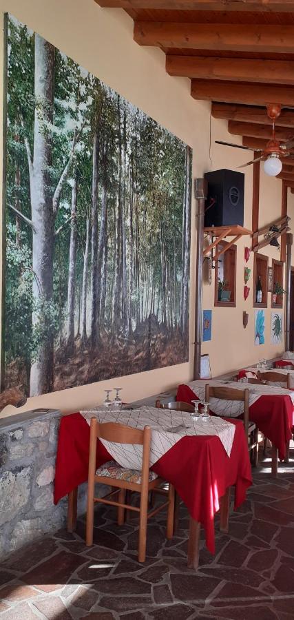 Albergo Nuoitas Forni di Sopra Exterior foto