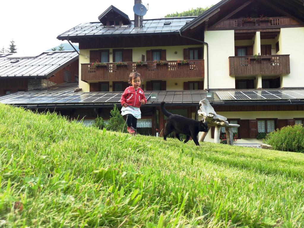 Albergo Nuoitas Forni di Sopra Exterior foto